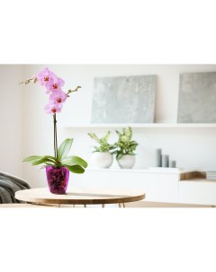 Цветочное кашпо Орхидея 16 см 2 4 л фиолетовый 1 шт Idea