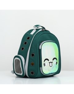 Рюкзак для переноски животных зеленый окно для обзора Пижон