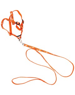 Шлейка для собак Собачки с поводком оранжевая обхват груди 27 42 см Пижон