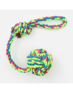 Игрушка для собак верёвка с шаром 10 см разноцветная Market union