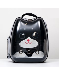Рюкзак для переноски животных котик 34х25х40 см черный прозрачный Пижон