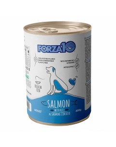 Влажный корм для взрослых собак Maintenance с лососем и рисом 12 шт по 400 г Forza10