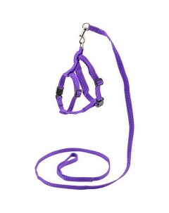 Комплект для собак синтетический поводок и шлейка фиолетовый 10 мм Дарэлл