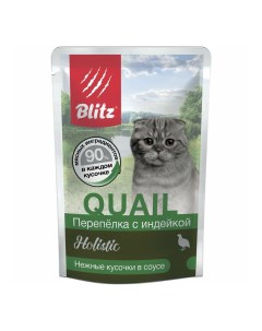 Влажный корм для кошек Quail Holistic перепелка с индейкой 24 шт по 85 г Blitz