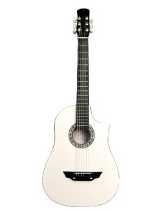 Акустическая гитара ACD 39A 513 WH Akkord
