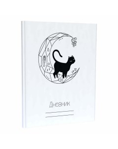 Дневник универсальный черный кот А5 48 листов Academy style