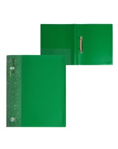 Папка на 2 кольцах А4 27 мм 700 мкм внутренний и торцевой карман зеленая Calligrata