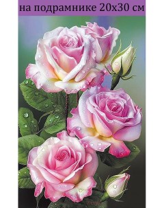 Алмазная мозаика Розовые розы SZX786 на подрамнике 20х30 см Nobrand