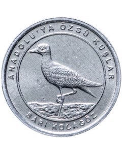 Монета 1 куруш Авдотка Анталийские птицы Турция 2020 г в Монета в состоянииUNC Mon loisir