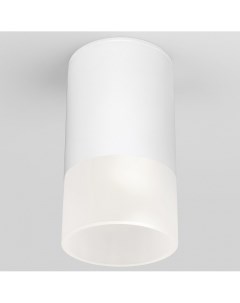 Накладной светильник Light LED a057157 Elektrostandard