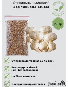 Мицелий зерновой шампиньон мгШ 1мгШ 1 150 Грибничок