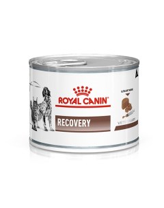 Корм для собак и кошек Vet Diet Recovery в период анорексии выздоровления конс 195г Royal canin