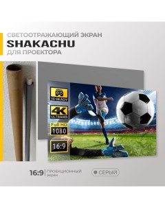 Экран для проектора RGC мобильный 16 9 72 Shakachu