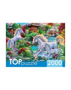Пазлы Единороги в восточном саду 2000 элементов Toppuzzle