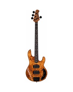 Sterling Ray34hhpb am r2 бас гитара Stingray Hh in Amber with Poplar Burl Top Nobrand