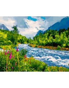 Картина по номерам Бурная река 40x50 см Paintboy