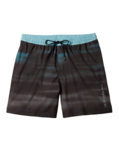 Мужские Пляжные шорты Everyday Fade Volley 17 Quiksilver