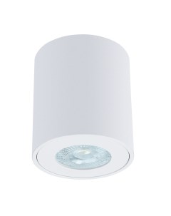 Светильник потолочный Tino GU10 35 Вт 2 кв м белый IP44 A1469PL 1WH Arte lamp