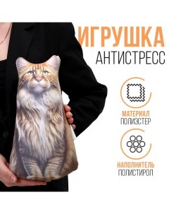 Антистресс игрушка Мейн кун 9642239 разноцветный Mni mnu