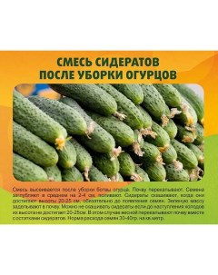 Семена сидератов для Огурцов 33817 0 5 кг 1 шт Колос