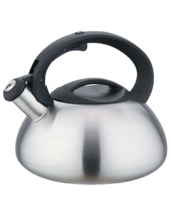 Чайник для плиты BE 0587 1 сатин Webber