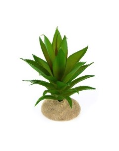 Растение для террариума Алое зелёное 11x11x13см Нидерланды Terra della