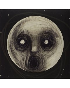 Steven Wilson The Raven That Refused To Sing 2LP Transmission recordings