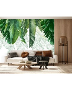 Фотообои Зеленые пальмовые листья на белом фоне 300х270 см Dekor vinil