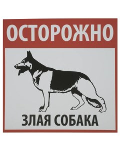 Табличка Осторожно Злая собака Duckanddog