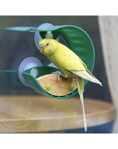 Кормушка для птиц подвесная на присосках на окно дерево бежевый зеленый Hape