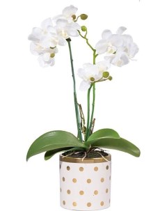 Искусственный цветок Орхидея 19х13х46 см 2395 DS Гласар