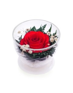 Искусственные цветы в стекле Композиция из красной розы 200 096 Natural flower products co.,ltd