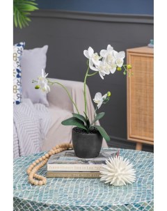 Искусственный цветок Орхидея 33х18х53 см F48339 WHIT Гласар