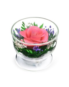 Композиция из розовой розы арт CuSRp в подарочной упаковке 200 387 Natural flower products co.,ltd