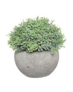 Растение искусственное 16 см в горшке цемент пластик Pot garden Kuchenland