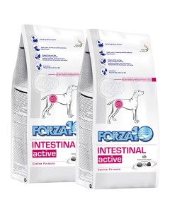 Сухой корм для собак Intestinal Active 2 шт по 10 кг Forza10