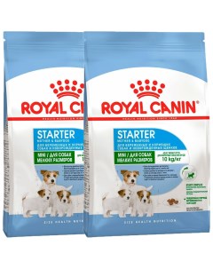 Сухой корм для щенков беременных и кормящих MINI STARTER 2шт по 1 кг Royal canin