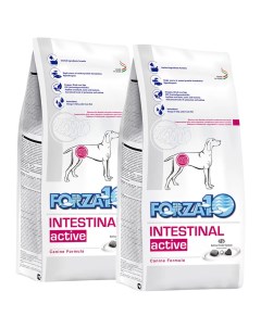 Сухой корм для собак Intestinal Active 2 шт по 4 кг Forza10