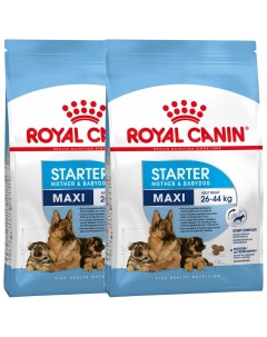 Сухой корм для щенков беременных и кормящих собак Maxi Starter 2 шт по 15 кг Royal canin
