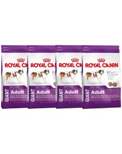 Сухой корм для собак GIANT ADULT для крупных пород 4шт по 4кг Royal canin
