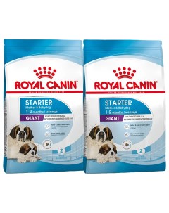 Сухой корм для щенков GIANT STARTER для крупных пород 2шт по 15кг Royal canin