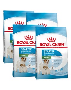 Сухой корм для собак Starter Mother Babydog Mini 4x3 кг Royal canin