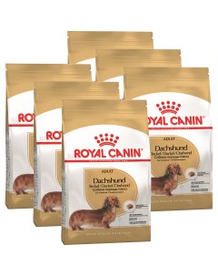 Сухой корм для собак DACHSHUND ADULT для такс 6шт по 1 5кг Royal canin