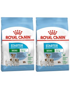 Сухой корм для щенков MINI STARTER 2шт по 8 5кг Royal canin