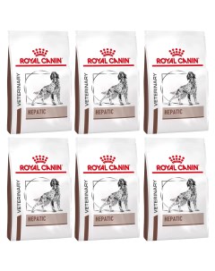 Сухой корм для собак Hepatic HF16 при заболеваниях печени 6 шт по 1 5 кг Royal canin