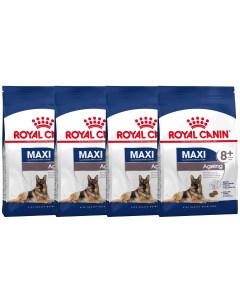 Сухой корм для собак MAXI AGEING 8 для пожилых для крупных пород 4шт по 3кг Royal canin