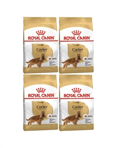 Сухой корм для собак COCKER ADULT для кокер спаниелей 4 шт по 3 кг Royal canin
