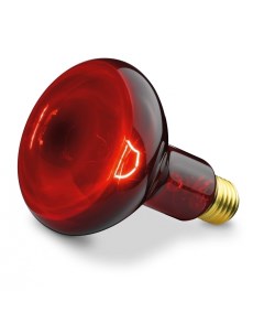 Лампа для террариума Infrared intensive инфракрасная галогенная 70 Вт R80 Mclanzoo