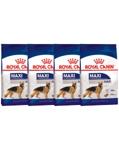 Сухой корм для собак MAXI ADULT для крупных пород 4шт по 3кг Royal canin