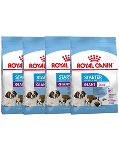 Сухой корм для щенков беременных и кормящих сук GIANT STARTER 4шт по 4кг Royal canin